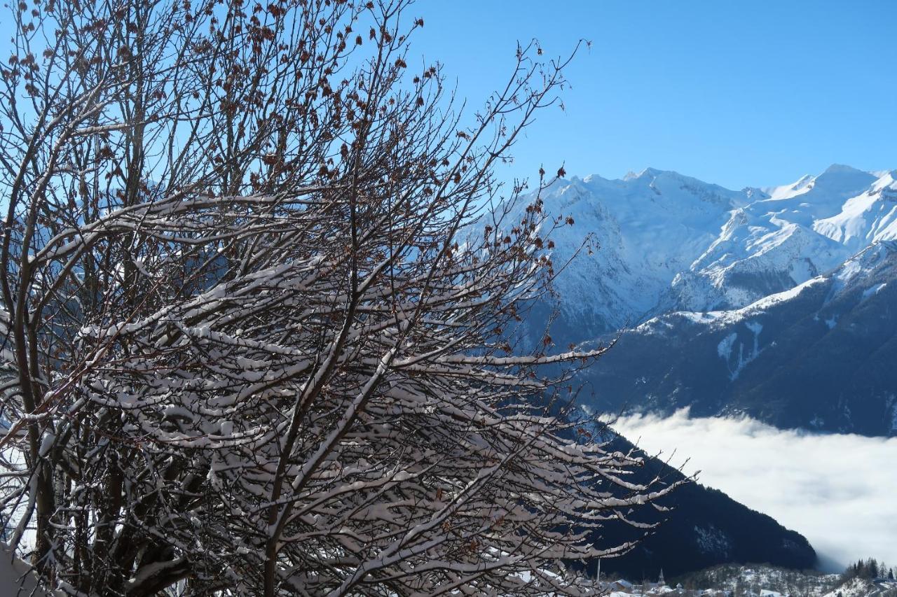 Les Balcons De La Sagne 252-254 Route D'huez Appart 410